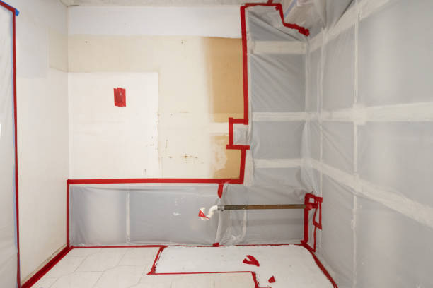 Best Real Estate Mold Inspection  in Colwyn, PA