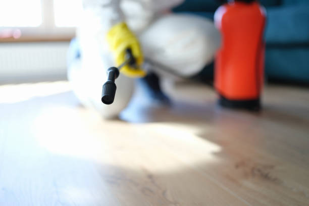 Asbestos and Lead Testing During Mold Inspection in Colwyn, PA