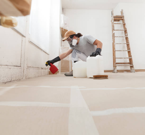 Best Air Quality Testing for Mold Spores  in Colwyn, PA