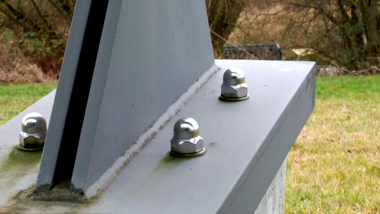 Mold Documentation for Insurance Claims in Colwyn, PA